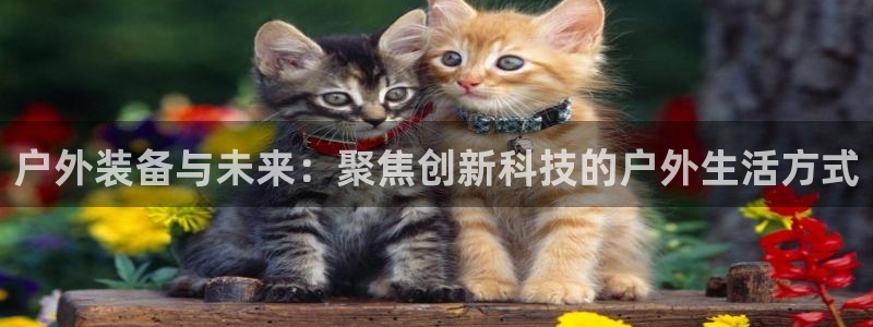 先锋娱乐公司正规吗吗