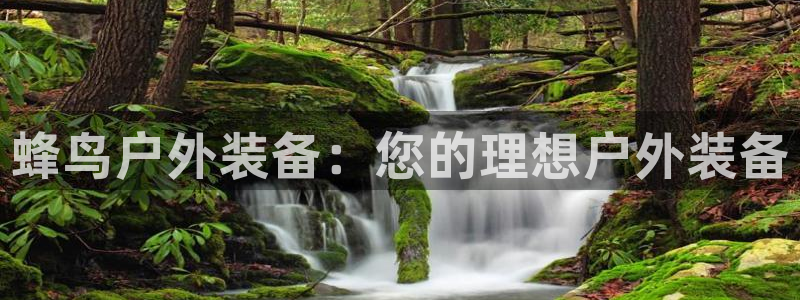 先锋娱乐集团公司