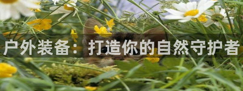 亚洲先锋娱乐登录