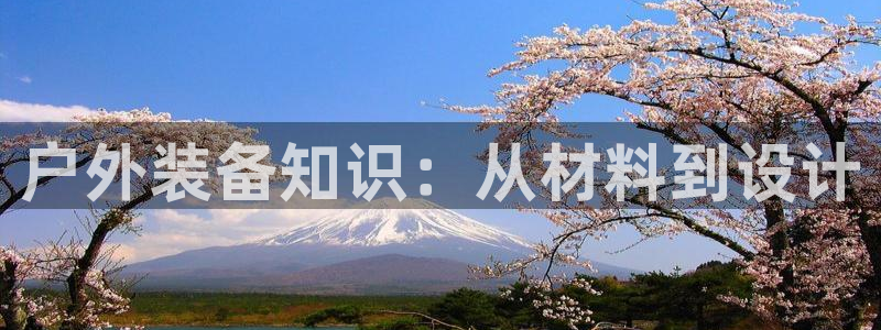 先锋娱乐理财logo