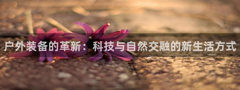 先锋娱乐体育管理集团