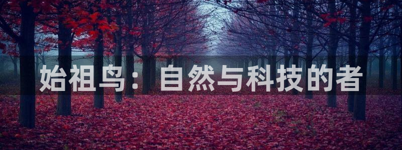 怎么下载先锋娱乐大厅