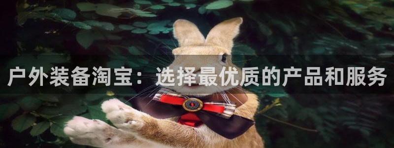 先锋娱乐垫付金额