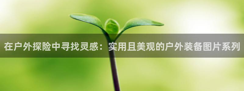 先锋娱乐垫付金额