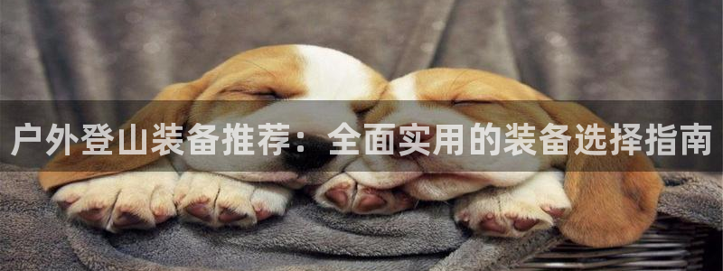 先锋娱乐大厅平台