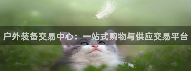 先锋娱乐理财logo